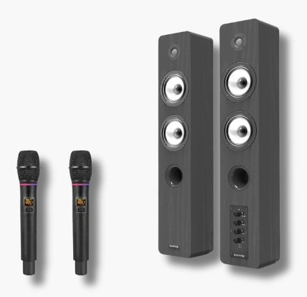 SISTEMA 2.0 CON RADIOMICROFONO PRO EDGE 2 MIC