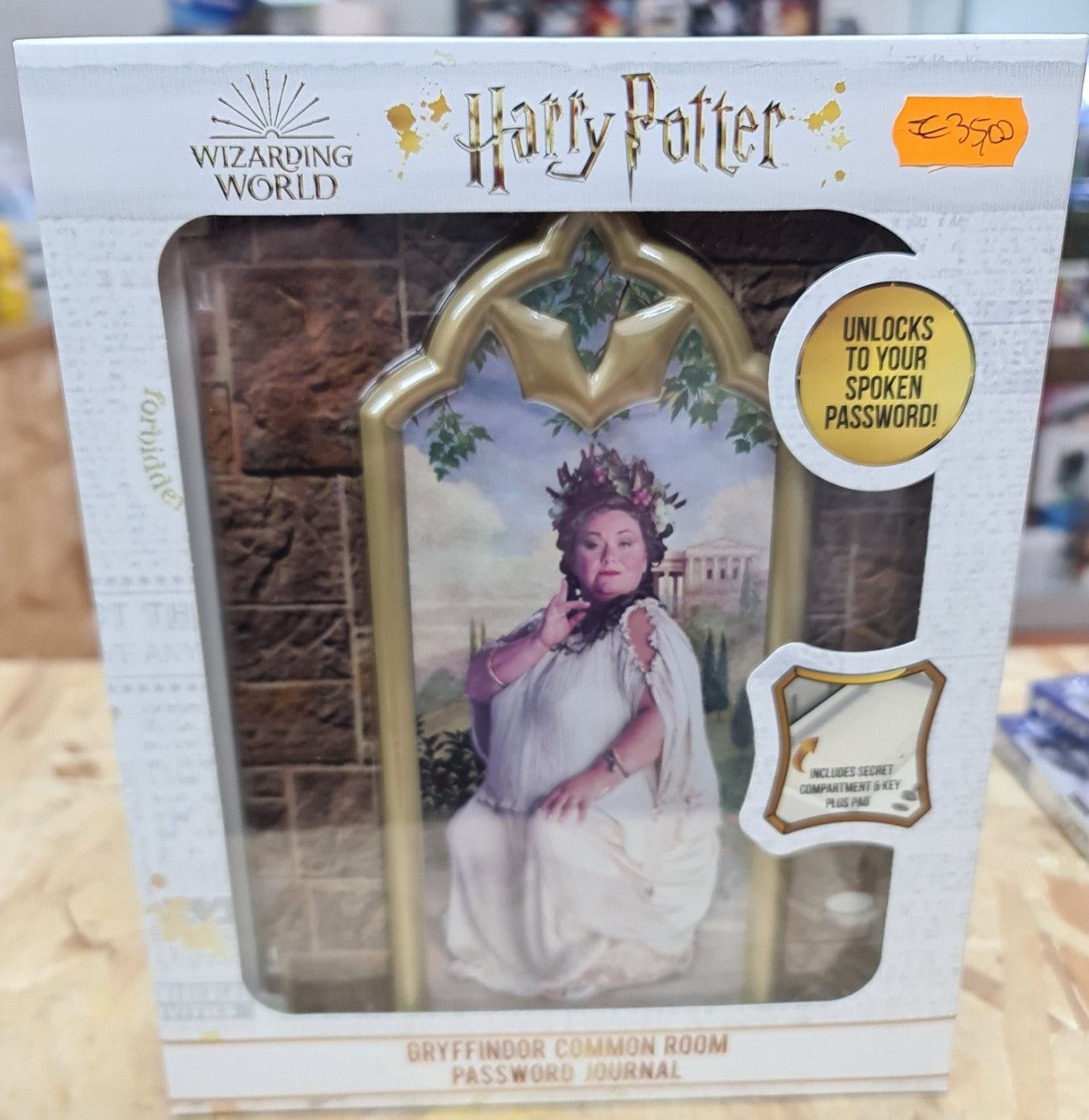 harry potter diario segreto elettronico