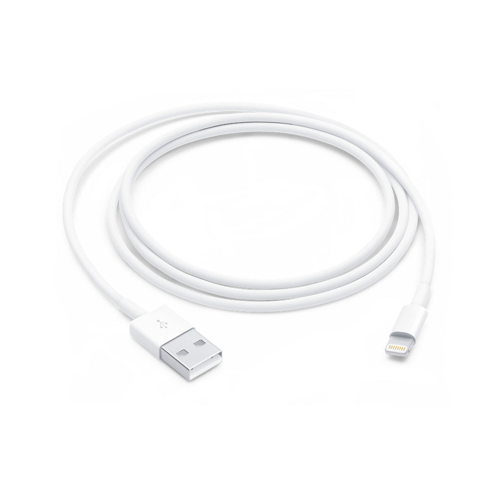 CAVO APPLE USB LIGHTNING 1 METRO