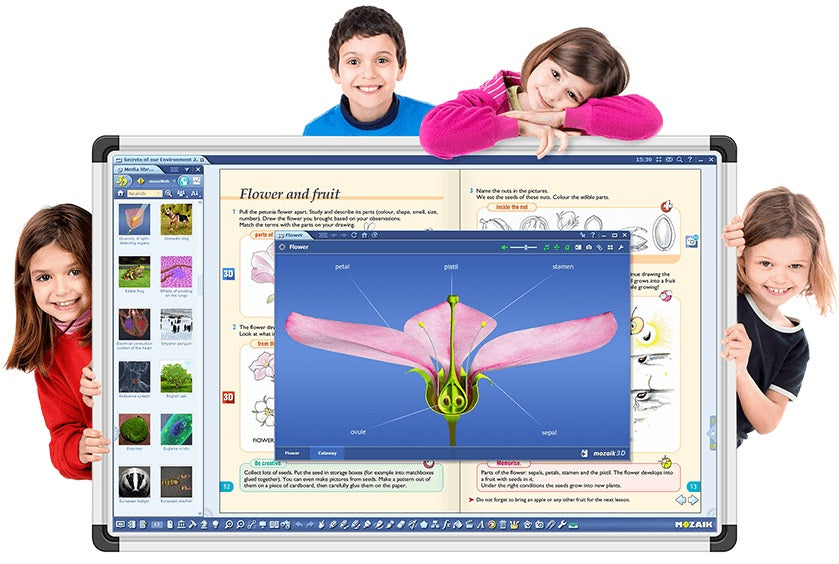 SW MOZAIK TEACHER ITA 3 ANNI