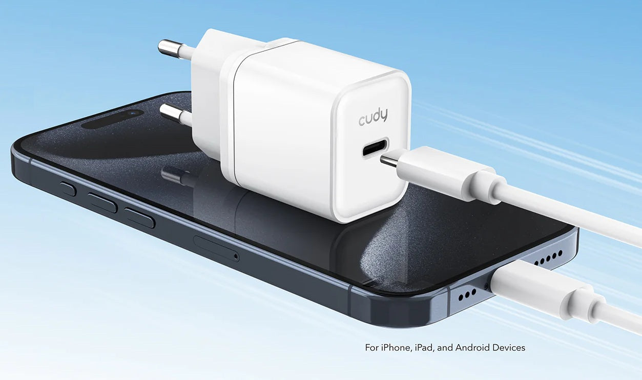 CARICA BATTERIA USB-C 20W QC+PD3.0 X IPHONE DA SERIE 12/GALAXY/IPAD
