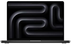 Apple MacBook Pro 2024 14" M4 10C/10G 24/1TB Space Black MCX04T/A